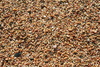sand - photo/picture definition - sand word and phrase image