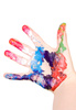 painted palm - photo/picture definition - painted palm word and phrase image