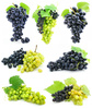 grapes - photo/picture definition - grapes word and phrase image