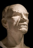plaster head - photo/picture definition - plaster head word and phrase image