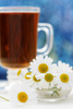 camomille tea - photo/picture definition - camomille tea word and phrase image