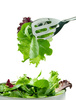 salad - photo/picture definition - salad word and phrase image