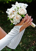 bridal roses - photo/picture definition - bridal roses word and phrase image