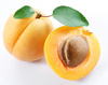 apricot - photo/picture definition - apricot word and phrase image