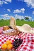 picnic - photo/picture definition - picnic word and phrase image