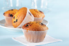 blueberry muffins - photo/picture definition - blueberry muffins word and phrase image