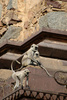 grey langurs - photo/picture definition - grey langurs word and phrase image