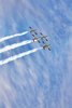 synchronous flight - photo/picture definition - synchronous flight word and phrase image