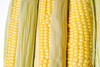 corn cobs - photo/picture definition - corn cobs word and phrase image