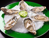 oyster - photo/picture definition - oyster word and phrase image