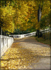 autumn park - photo/picture definition - autumn park word and phrase image