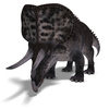 zuniceratops - photo/picture definition - zuniceratops word and phrase image