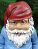 garden gnome - photo/picture definition - garden gnome word and phrase image