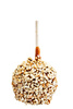 caramel apple - photo/picture definition - caramel apple word and phrase image