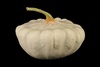 pattypan - photo/picture definition - pattypan word and phrase image
