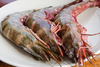 prawns - photo/picture definition - prawns word and phrase image
