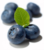 blueberries - photo/picture definition - blueberries word and phrase image