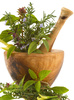 herbs - photo/picture definition - herbs word and phrase image