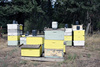 bee houses - photo/picture definition - bee houses word and phrase image