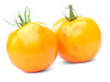 yellow tomatoes - photo/picture definition - yellow tomatoes word and phrase image