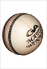 cricket ball - photo/picture definition - cricket ball word and phrase image