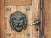 lion knocker - photo/picture definition - lion knocker word and phrase image