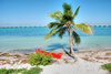 paradise holiday spot - photo/picture definition - paradise holiday spot word and phrase image