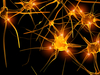 neurons - photo/picture definition - neurons word and phrase image