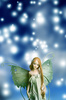 elf fairy - photo/picture definition - elf fairy word and phrase image