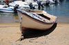 skiff boat - photo/picture definition - skiff boat word and phrase image