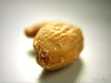 nuts - photo/picture definition - nuts word and phrase image