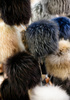 fur caps - photo/picture definition - fur caps word and phrase image