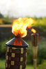 tiki torch - photo/picture definition - tiki torch word and phrase image