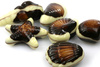 chocolate candy - photo/picture definition - chocolate candy word and phrase image