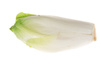 endives - photo/picture definition - endives word and phrase image
