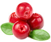 cranberry - photo/picture definition - cranberry word and phrase image