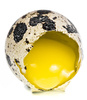 quail egg yolk - photo/picture definition - quail egg yolk word and phrase image