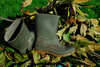 gumboots - photo/picture definition - gumboots word and phrase image