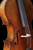 cello - photo/picture definition - cello word and phrase image