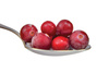 frozen cranberries - photo/picture definition - frozen cranberries word and phrase image
