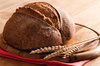 spelt bread - photo/picture definition - spelt bread word and phrase image