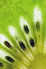 kiwi slice - photo/picture definition - kiwi slice word and phrase image