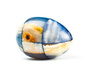 marble egg - photo/picture definition - marble egg word and phrase image