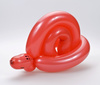 balloon snail - photo/picture definition - balloon snail word and phrase image