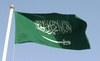 Saudi Arabia flag - photo/picture definition - Saudi Arabia flag word and phrase image