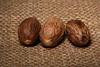 nutmegs - photo/picture definition - nutmegs word and phrase image