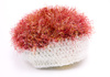 mohair hat - photo/picture definition - mohair hat word and phrase image