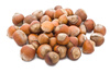 filbert nuts - photo/picture definition - filbert nuts word and phrase image