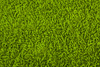 green carpet - photo/picture definition - green carpet word and phrase image