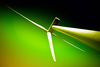 green energy - photo/picture definition - green energy word and phrase image